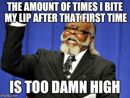 Too Damn High Meme | THE AMOUNT OF TIMES I BITE MY LIP AFTER THAT FIRST TIME IS TOO DAMN HIGH | image tagged in memes,too damn high | made w/ Imgflip meme maker