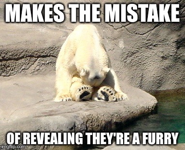Shame Bear | MAKES THE MISTAKE OF REVEALING THEY'RE A FURRY | image tagged in shame bear | made w/ Imgflip meme maker