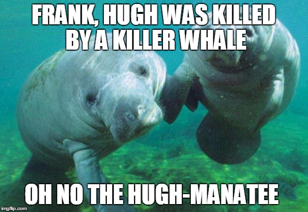 Dancing manatees | FRANK, HUGH WAS KILLED BY A KILLER WHALE OH NO THE HUGH-MANATEE | image tagged in dancing manatees | made w/ Imgflip meme maker