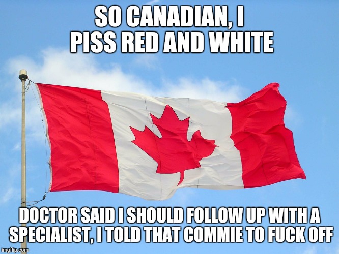 SO CANADIAN, I PISS RED AND WHITE DOCTOR SAID I SHOULD FOLLOW UP WITH A SPECIALIST, I TOLD THAT COMMIE TO F**K OFF | image tagged in canada,canadian,meme,red and white,real canadian,flag | made w/ Imgflip meme maker