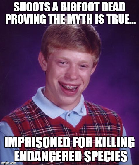 shot me a bigfoot | SHOOTS A BIGFOOT DEAD PROVING THE MYTH IS TRUE... IMPRISONED FOR KILLING ENDANGERED SPECIES | image tagged in memes,bad luck brian | made w/ Imgflip meme maker