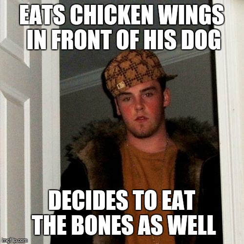I was eating hot wings just now and then it hit me! | EATS CHICKEN WINGS IN FRONT OF HIS DOG DECIDES TO EAT THE BONES AS WELL | image tagged in memes,scumbag steve | made w/ Imgflip meme maker
