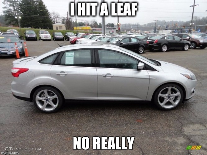 i hit a leaf | I HIT A LEAF NO REALLY | image tagged in cars,funny,leaves | made w/ Imgflip meme maker