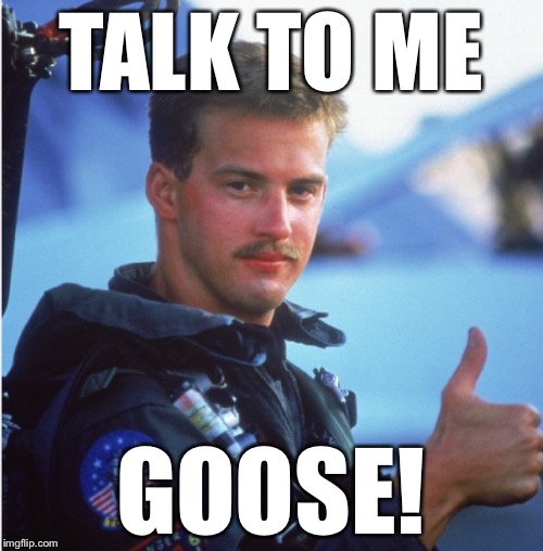 Talk to me Goose! | TALK TO ME GOOSE! | image tagged in top gun,goose | made w/ Imgflip meme maker