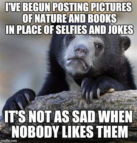 My new instagram feed is not as depressing now :3 | I'VE BEGUN POSTING PICTURES OF NATURE AND BOOKS IN PLACE OF SELFIES AND JOKES IT'S NOT AS SAD WHEN NOBODY LIKES THEM | image tagged in memes,confession bear | made w/ Imgflip meme maker
