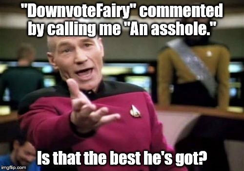 Picard Wtf Meme | "DownvoteFairy" commented by calling me "An asshole." Is that the best he's got? | image tagged in memes,picard wtf | made w/ Imgflip meme maker