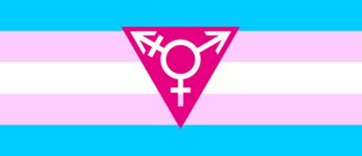 Transgender  Blank Meme Template