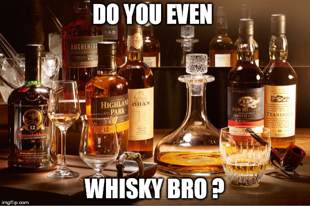 DO YOU EVEN WHISKY BRO ? | image tagged in whisky bro | made w/ Imgflip meme maker