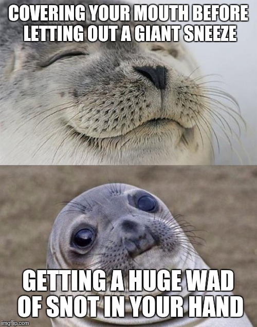 Short Satisfaction VS Truth | COVERING YOUR MOUTH BEFORE LETTING OUT A GIANT SNEEZE GETTING A HUGE WAD OF SNOT IN YOUR HAND | image tagged in memes,short satisfaction vs truth | made w/ Imgflip meme maker