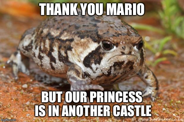 Grumpy Toad | THANK YOU MARIO BUT OUR PRINCESS IS IN ANOTHER CASTLE | image tagged in memes,grumpy toad | made w/ Imgflip meme maker