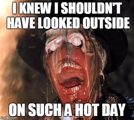 Bloody English heat wave | I KNEW I SHOULDN'T HAVE LOOKED OUTSIDE ON SUCH A HOT DAY | image tagged in facemelt | made w/ Imgflip meme maker