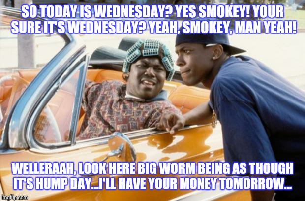 friday | SO TODAY IS WEDNESDAY? YES SMOKEY! YOUR SURE IT'S WEDNESDAY? YEAH, SMOKEY, MAN YEAH! WELLERAAH, LOOK HERE BIG WORM BEING AS THOUGH IT'S HUMP | image tagged in friday | made w/ Imgflip meme maker