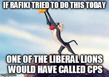 lion king | IF RAFIKI TRIED TO DO THIS TODAY ONE OF THE LIBERAL LIONS WOULD HAVE CALLED CPS | image tagged in lion king,truth,sad | made w/ Imgflip meme maker