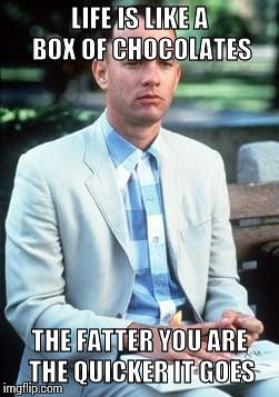 Forest gump | LIFE IS LIKE A BOX OF CHOCOLATES THE FATTER YOU ARE THE QUICKER IT GOES | image tagged in forest gump | made w/ Imgflip meme maker