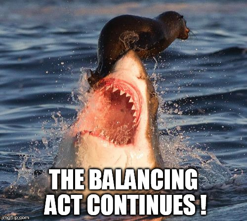 Travelonshark Meme | THE BALANCING ACT CONTINUES ! | image tagged in memes,travelonshark | made w/ Imgflip meme maker
