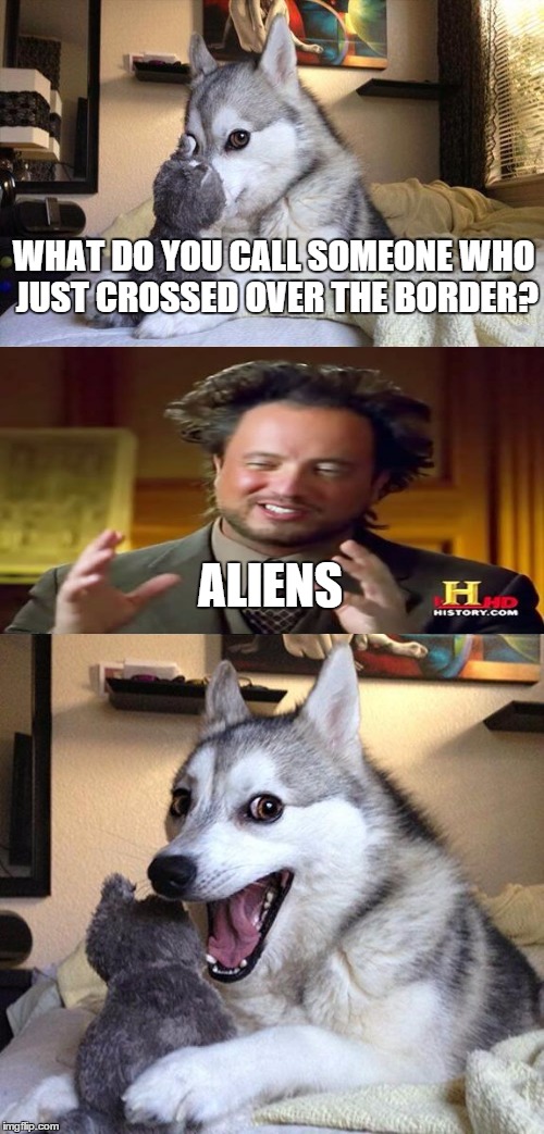 Bad Pun Dog Meme | WHAT DO YOU CALL SOMEONE WHO JUST CROSSED OVER THE BORDER? ALIENS | image tagged in memes,bad pun dog,ancient aliens | made w/ Imgflip meme maker
