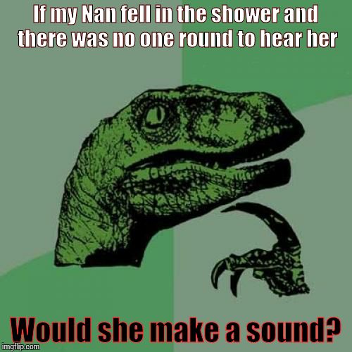 Philosoraptor Meme | If my Nan fell in the shower and there was no one round to hear her Would she make a sound? | image tagged in memes,philosoraptor | made w/ Imgflip meme maker