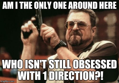Am I The Only One Around Here | AM I THE ONLY ONE AROUND HERE WHO ISN'T STILL OBSESSED WITH 1 DIRECTION?! | image tagged in memes,am i the only one around here | made w/ Imgflip meme maker