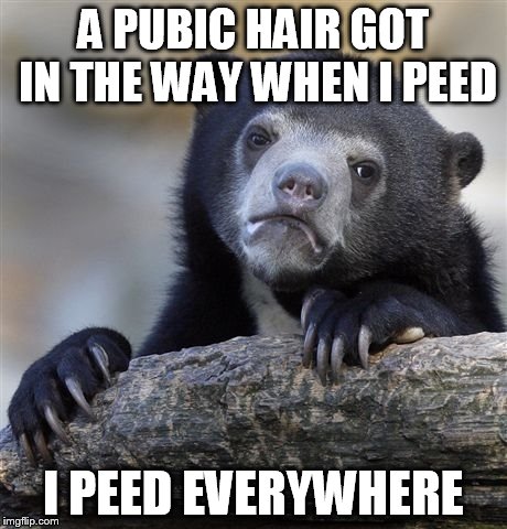 Confession Bear Meme | A PUBIC HAIR GOT IN THE WAY WHEN I PEED I PEED EVERYWHERE | image tagged in memes,confession bear | made w/ Imgflip meme maker