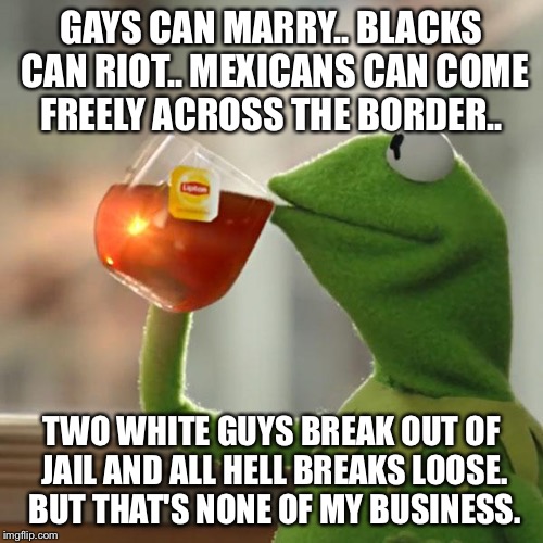 But That's None Of My Business Meme | GAYS CAN MARRY.. BLACKS CAN RIOT.. MEXICANS CAN COME FREELY ACROSS THE BORDER.. TWO WHITE GUYS BREAK OUT OF JAIL AND ALL HELL BREAKS LOOSE.  | image tagged in memes,but thats none of my business,kermit the frog | made w/ Imgflip meme maker