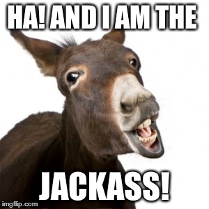 HA! AND I AM THE JACKASS! | image tagged in jack ass | made w/ Imgflip meme maker