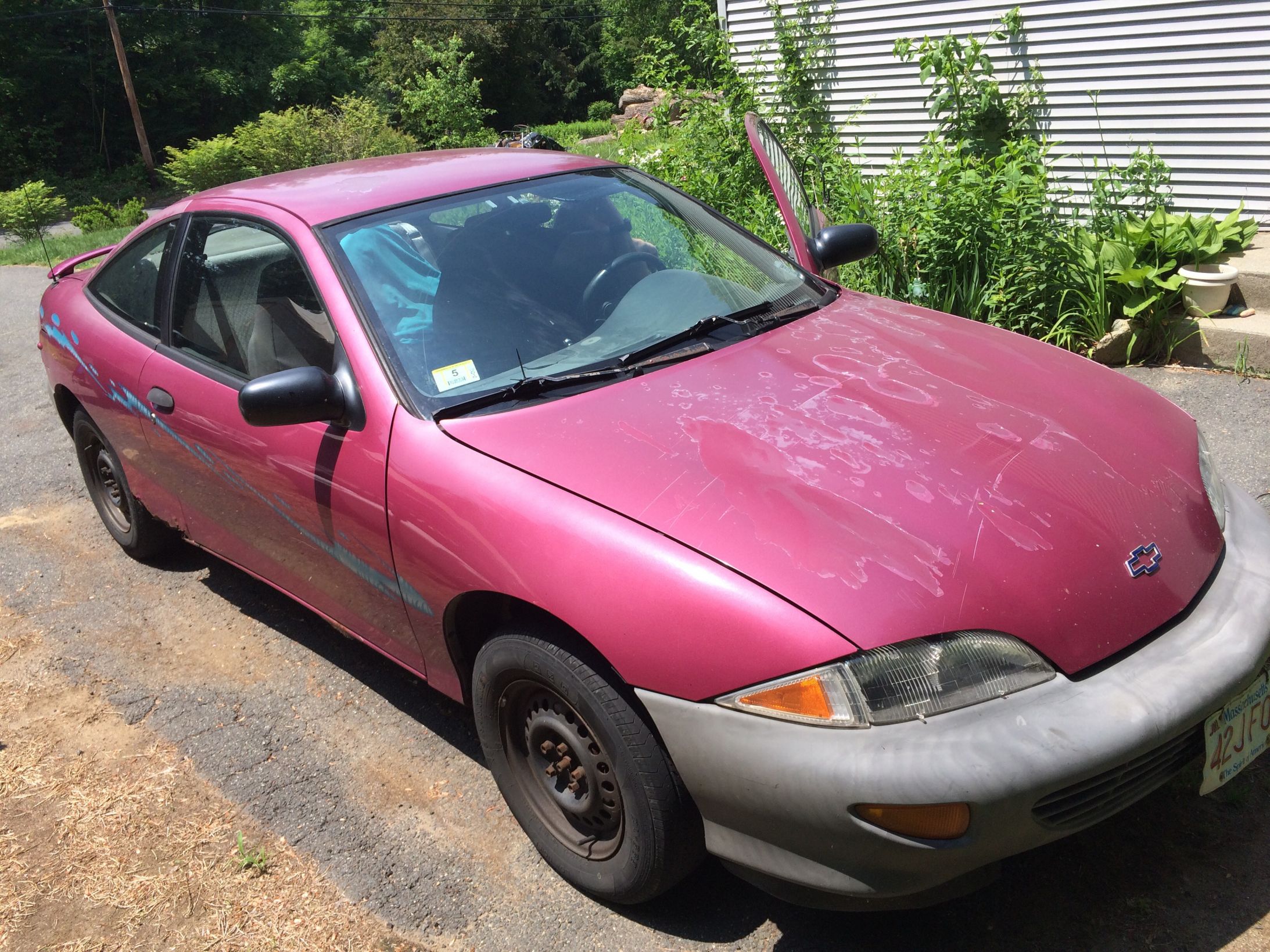 High Quality Cavalier  Blank Meme Template