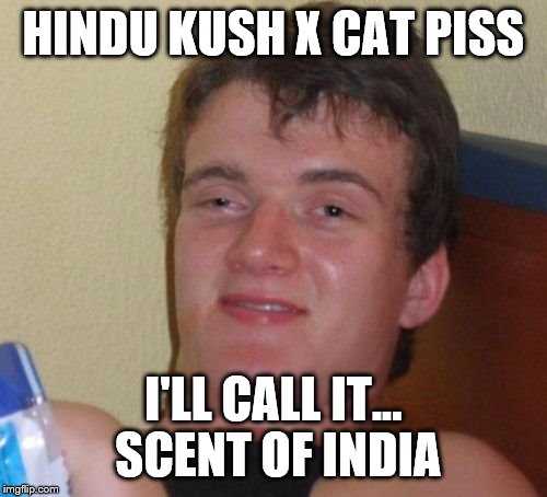10 Guy Naming His Weed | HINDU KUSH X CAT PISS I'LL CALL IT... SCENT OF INDIA | image tagged in memes,10 guy,funny,weed | made w/ Imgflip meme maker