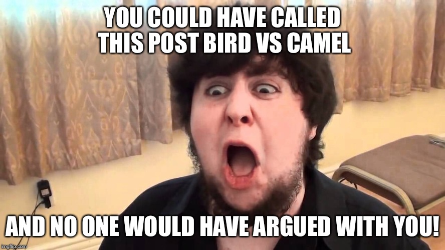 YOU COULD HAVE CALLED THIS POST BIRD VS CAMEL AND NO ONE WOULD HAVE ARGUED WITH YOU! | image tagged in jontron | made w/ Imgflip meme maker