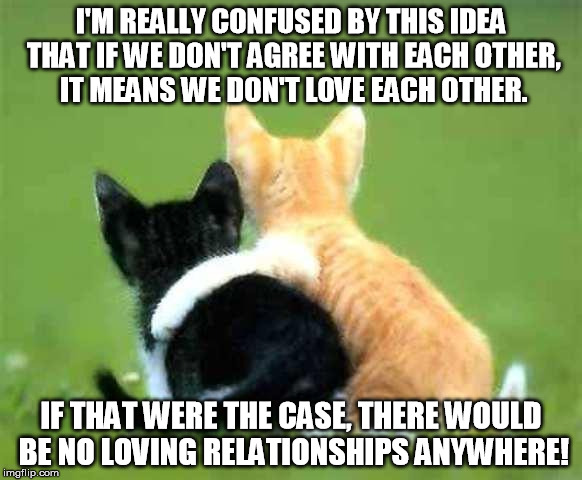friends | I'M REALLY CONFUSED BY THIS IDEA THAT IF WE DON'T AGREE WITH EACH OTHER, IT MEANS WE DON'T LOVE EACH OTHER. IF THAT WERE THE CASE, THERE WOU | image tagged in friends | made w/ Imgflip meme maker