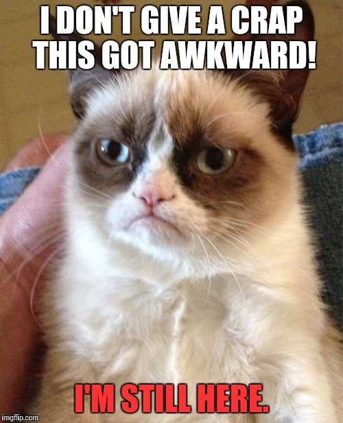 I DON'T GIVE A CRAP THIS GOT AWKWARD! I'M STILL HERE. | image tagged in memes,grumpy cat | made w/ Imgflip meme maker