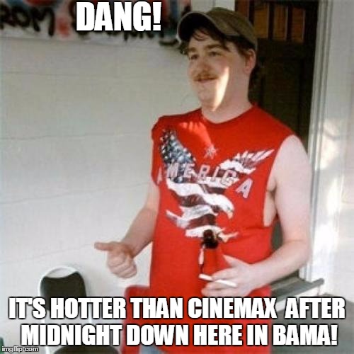 Redneck Randal | DANG! IT'S HOTTER THAN CINEMAX  AFTER MIDNIGHT DOWN HERE IN BAMA! | image tagged in memes,redneck randal | made w/ Imgflip meme maker