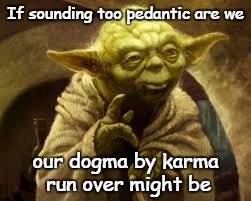Yoda Karma | If sounding too pedantic are we our dogma by karma run over might be | image tagged in yoda,pedantic,dogma,karma,picky | made w/ Imgflip meme maker