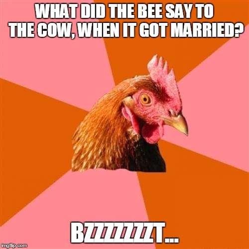 Anti Joke Chicken | WHAT DID THE BEE SAY TO THE COW, WHEN IT GOT MARRIED? BZZZZZZZT... | image tagged in memes,anti joke chicken | made w/ Imgflip meme maker