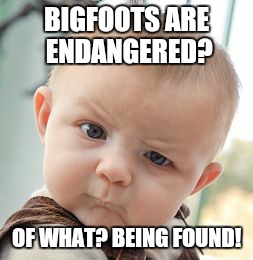 Skeptical Baby Meme | BIGFOOTS ARE ENDANGERED? OF WHAT? BEING FOUND! | image tagged in memes,skeptical baby | made w/ Imgflip meme maker