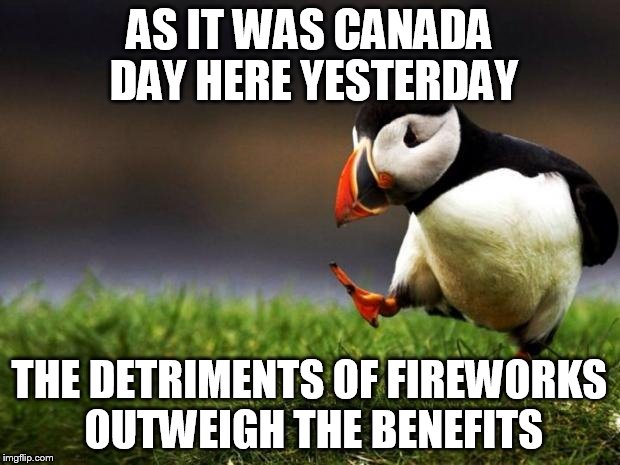 unpopular opinion penguin | AS IT WAS CANADA DAY HERE YESTERDAY THE DETRIMENTS OF FIREWORKS OUTWEIGH THE BENEFITS | image tagged in unpopular opinion penguin,AdviceAnimals | made w/ Imgflip meme maker