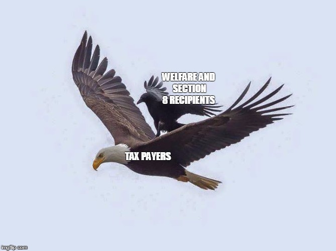 TAX PAYERS WELFARE AND SECTION 8 RECIPIENTS | image tagged in bird on eagle | made w/ Imgflip meme maker