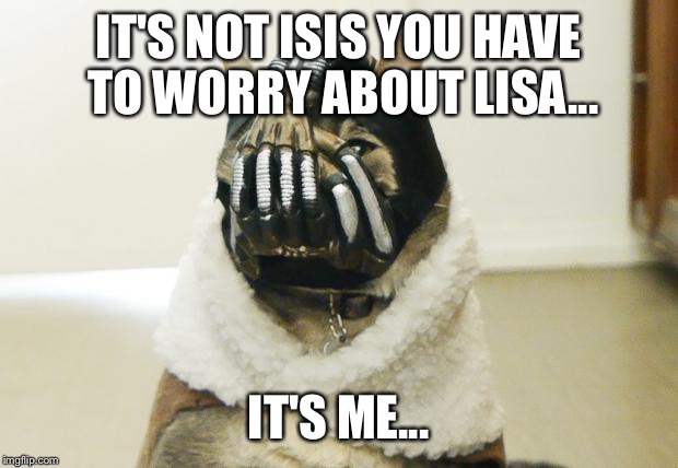 Bane Cat | IT'S NOT ISIS YOU HAVE TO WORRY ABOUT LISA... IT'S ME... | image tagged in bane cat | made w/ Imgflip meme maker