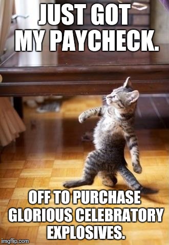 Cool Cat Stroll | JUST GOT MY PAYCHECK. OFF TO PURCHASE GLORIOUS CELEBRATORY EXPLOSIVES. | image tagged in memes,cool cat stroll | made w/ Imgflip meme maker