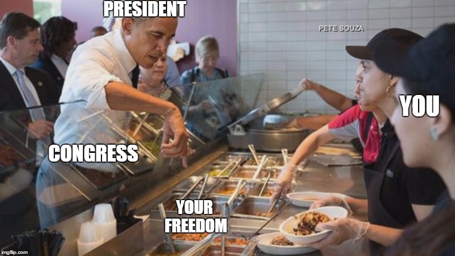 PRESIDENT CONGRESS YOUR FREEDOM YOU | image tagged in presidential over reach | made w/ Imgflip meme maker