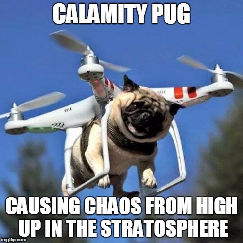 Flying Pug | CALAMITY PUG CAUSING CHAOS FROM HIGH UP IN THE STRATOSPHERE | image tagged in flying pug | made w/ Imgflip meme maker