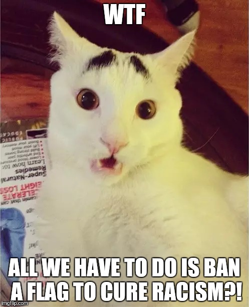 Wtf cat takes on the flag issue..? | WTF ALL WE HAVE TO DO IS BAN A FLAG TO CURE RACISM?! | image tagged in flag,racism,wtf | made w/ Imgflip meme maker