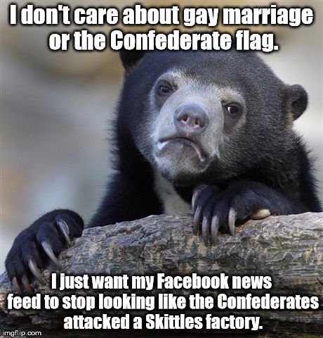 Why is there no blue Skittle? | I don't care about gay marriage or the Confederate flag. I just want my Facebook news feed to stop looking like the Confederates attacked a  | image tagged in memes,confession bear,funny memes,meme,so true memes | made w/ Imgflip meme maker