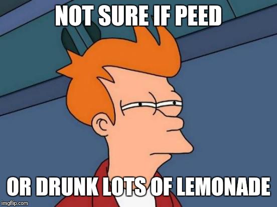 Futurama Fry Meme | NOT SURE IF PEED OR DRUNK LOTS OF LEMONADE | image tagged in memes,futurama fry | made w/ Imgflip meme maker