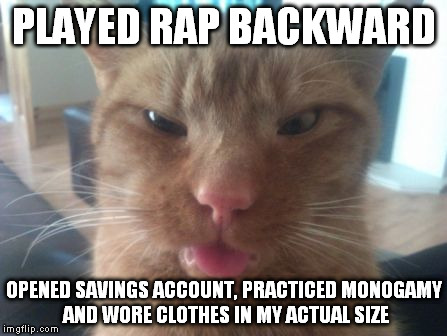 derpcat | PLAYED RAP BACKWARD OPENED SAVINGS ACCOUNT, PRACTICED MONOGAMY AND WORE CLOTHES IN MY ACTUAL SIZE | image tagged in derpcat | made w/ Imgflip meme maker