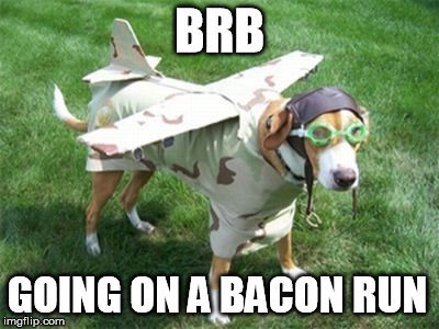 Sounds legit | BRB GOING ON A BACON RUN | image tagged in bacon | made w/ Imgflip meme maker