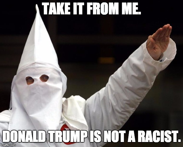 TAKE IT FROM ME. DONALD TRUMP IS NOT A RACIST. | image tagged in dixieklan | made w/ Imgflip meme maker