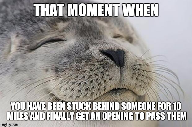 Satisfied Seal | THAT MOMENT WHEN YOU HAVE BEEN STUCK BEHIND SOMEONE FOR 10 MILES AND FINALLY GET AN OPENING TO PASS THEM | image tagged in memes,satisfied seal | made w/ Imgflip meme maker