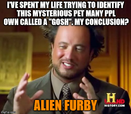 Oh my Gosh! | I'VE SPENT MY LIFE TRYING TO IDENTIFY THIS MYSTERIOUS PET MANY PPL OWN CALLED A "GOSH". MY CONCLUSION? ALIEN FURBY | image tagged in memes,ancient aliens | made w/ Imgflip meme maker