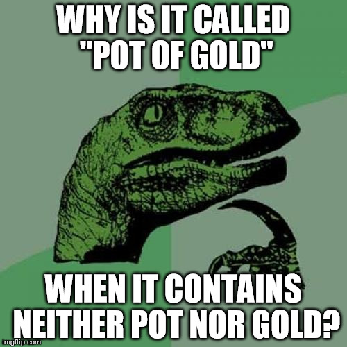Philosoraptor Meme | WHY IS IT CALLED "POT OF GOLD" WHEN IT CONTAINS NEITHER POT NOR GOLD? | image tagged in memes,philosoraptor | made w/ Imgflip meme maker