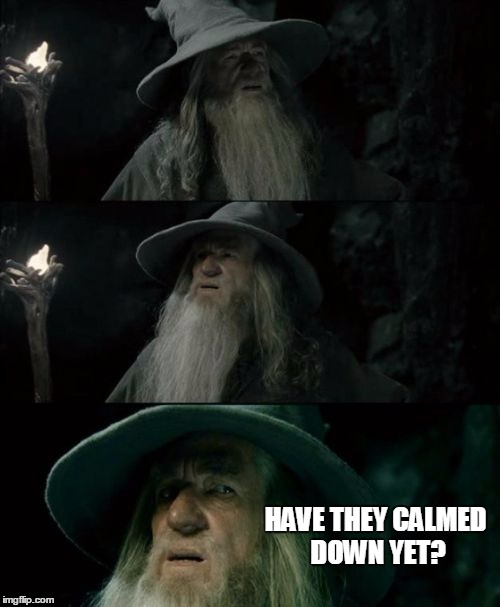 Confused Gandalf Meme | HAVE THEY CALMED DOWN YET? | image tagged in memes,confused gandalf | made w/ Imgflip meme maker